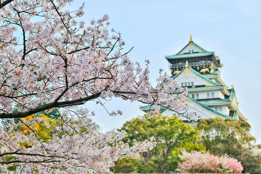 Ôsoji : le grand nettoyage japonais qui purifie la maison… et l’esprit!