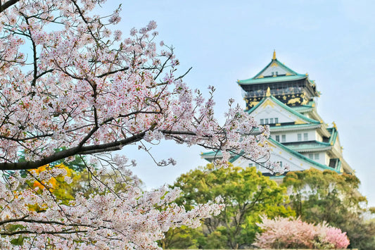 Ôsoji : le grand nettoyage japonais qui purifie la maison… et l’esprit!